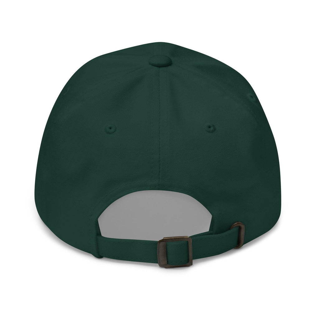 DDMaGee's Vets Dad hat