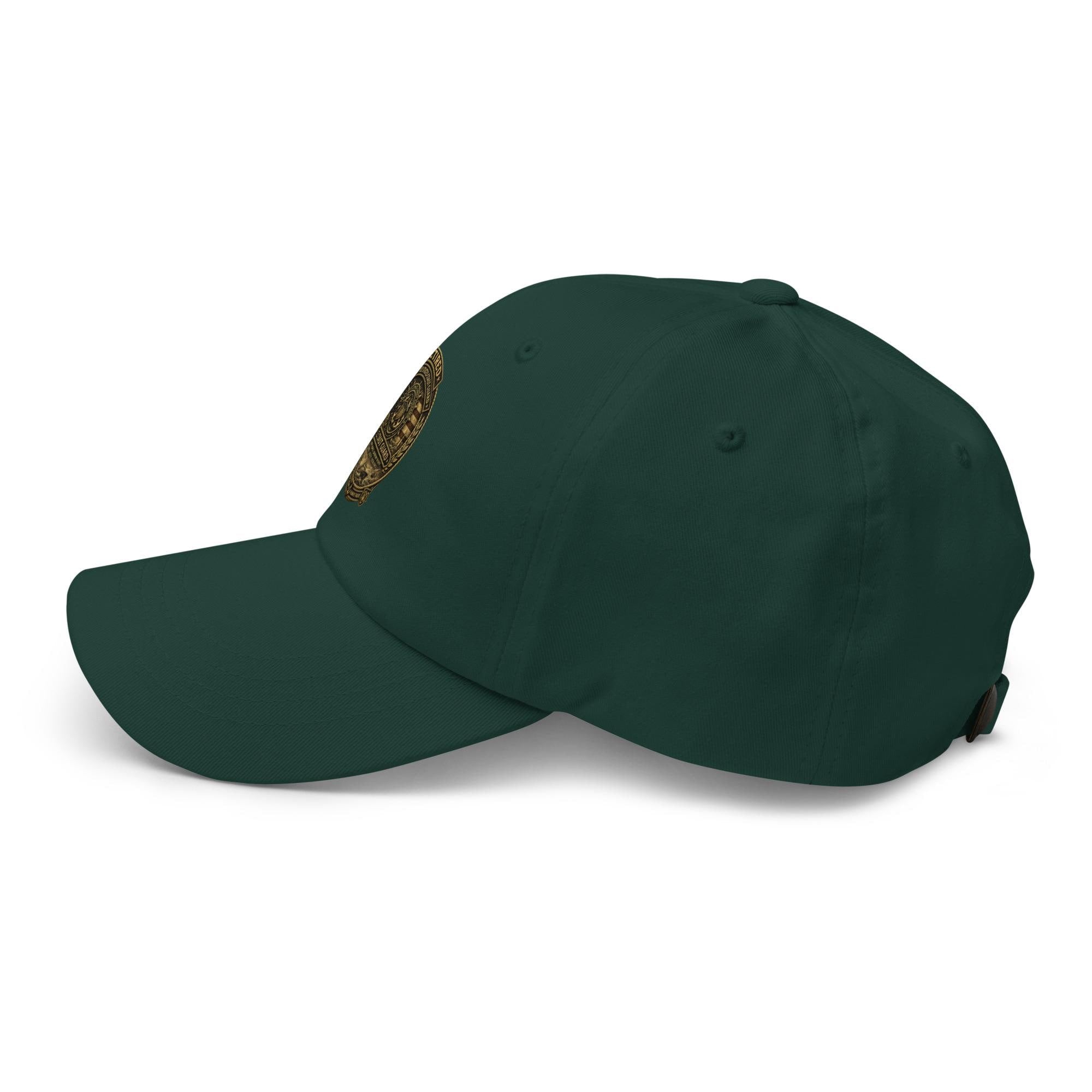 DDMaGee's US Vets Dad hat