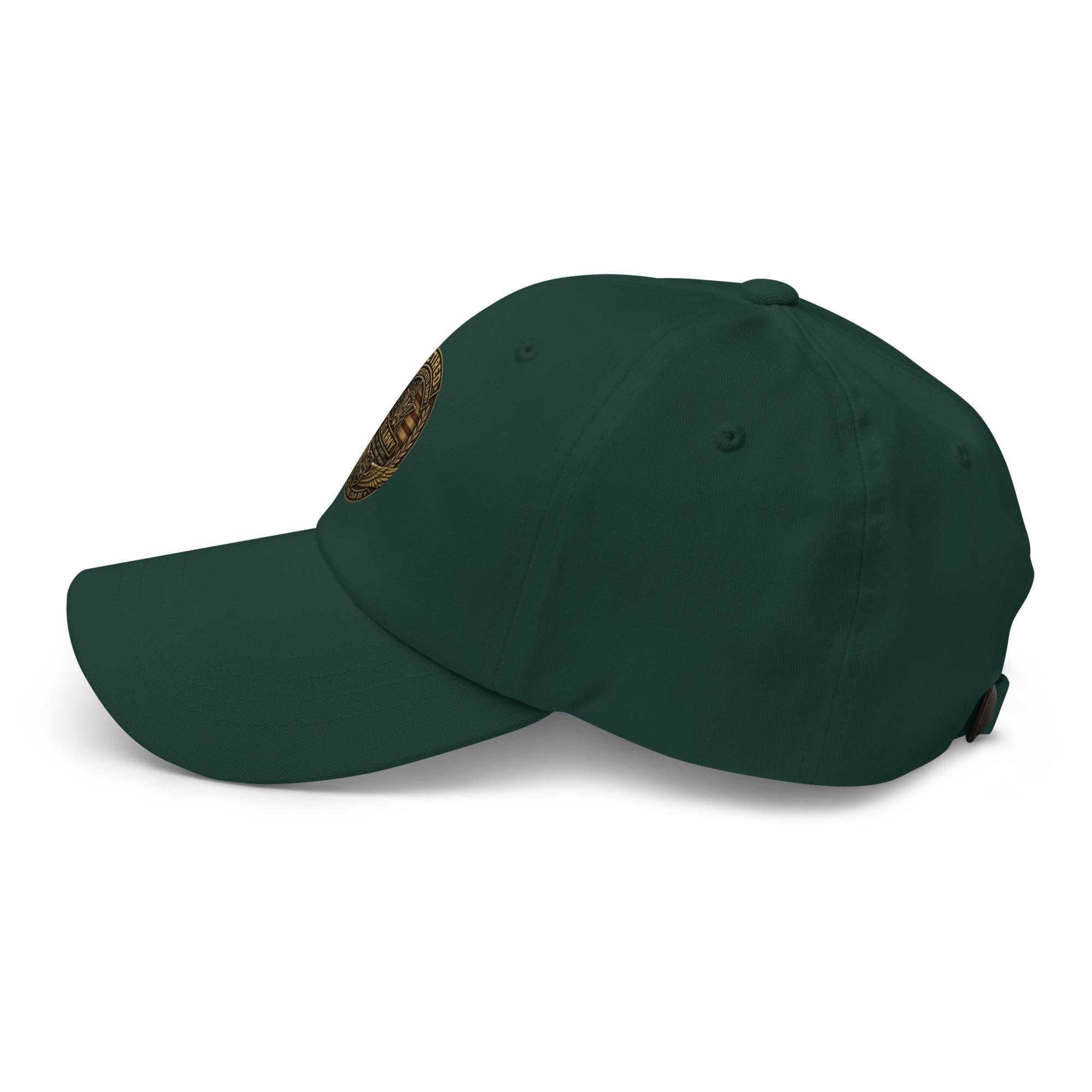 DDMaGee's US Vets Dad hat