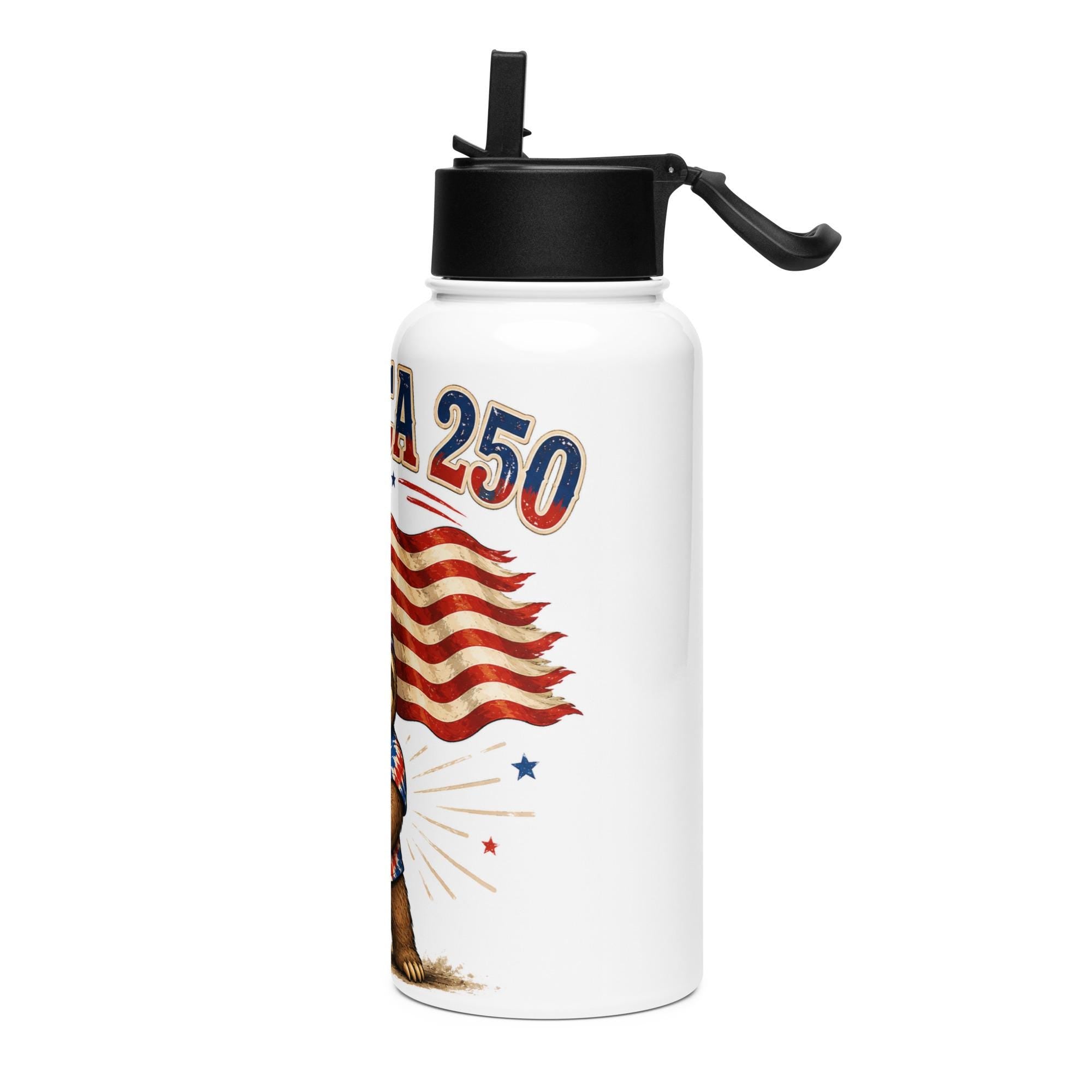 Sloth America 250 Stainless steel water bottle with a straw lid